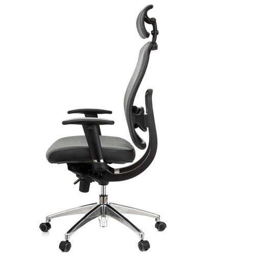 scaun ergonomic qmobili oklahoma functie balans